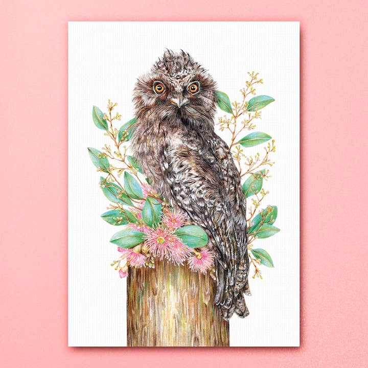 Kayla Reay Design - Wholesale Art print - Tawny Frogmouth Art Print2