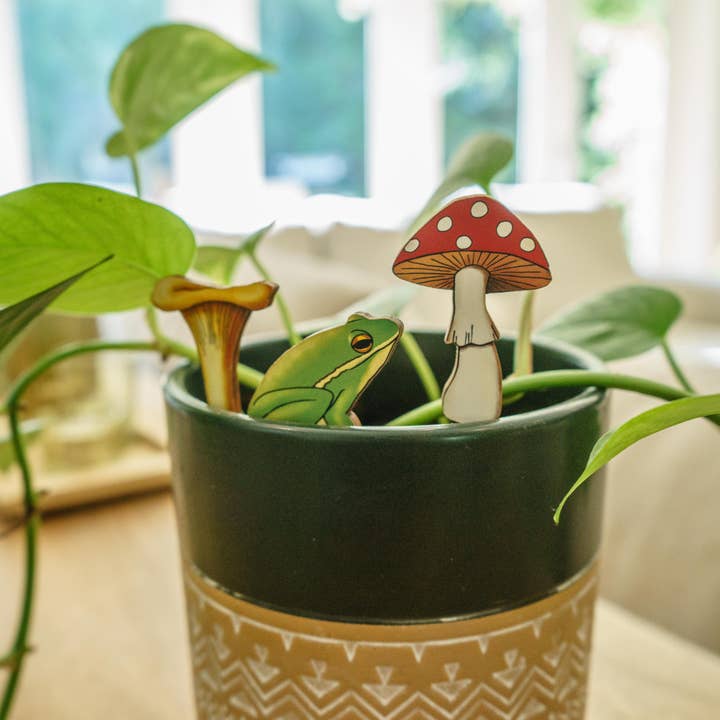 20 Leagues - Wholesale Decorative Figurine - Frog & Mushrooms Fancy Plants Diorama Kit1