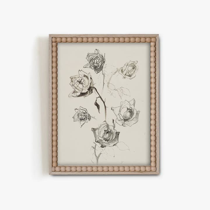 Paper House Print Shop - Wholesale Art Print - Sketched Roses Art Print