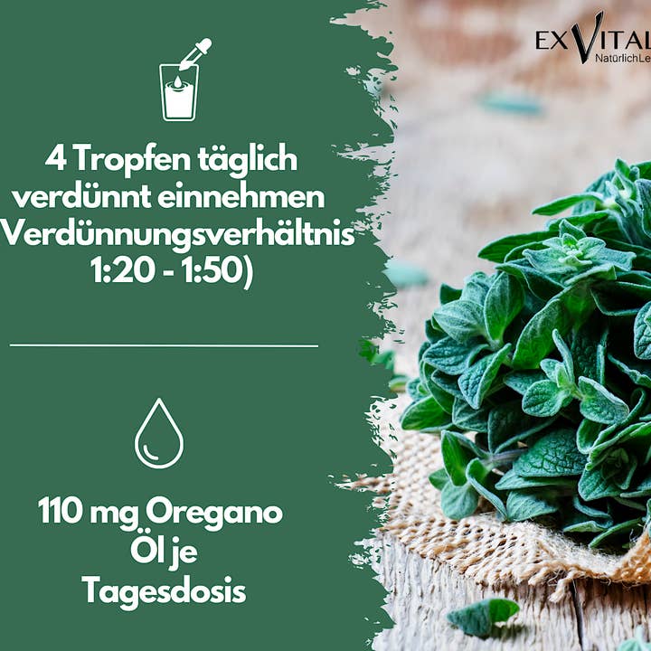 EXVital - Vente Supplément oral/vitamine - Huile d'origan avec 80 % de carvacrol1