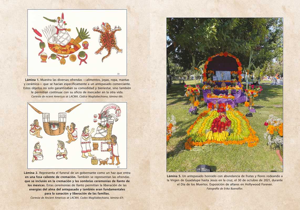 Simon & Schuster - Wholesale Body, Mind & Spirit - Ritos de veneración del curanderismo by Erika Buenaflor3