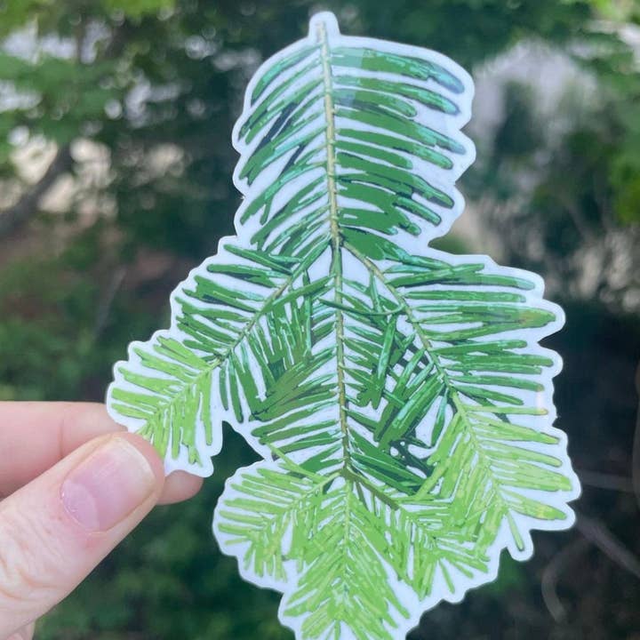 Stick Outside - Wholesale Sticker - Oregon Grand Fir Sticker