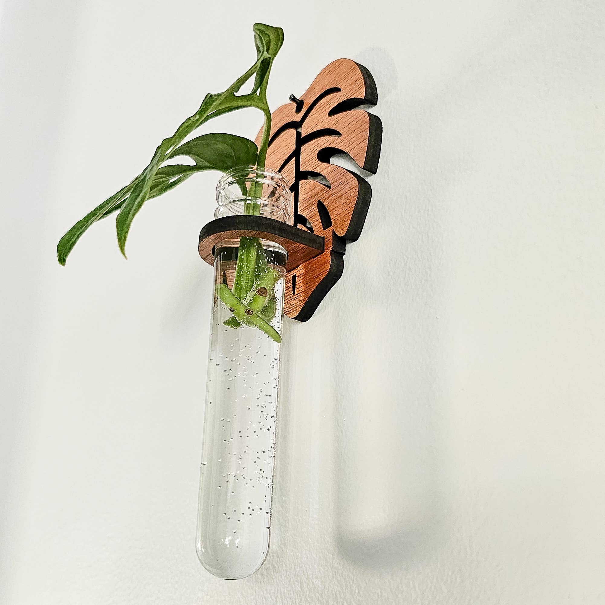 Leaf & Node - Wholesale Hanging Planter - Wall Hanging Propagation Station - Monstera Test Tube Holder4