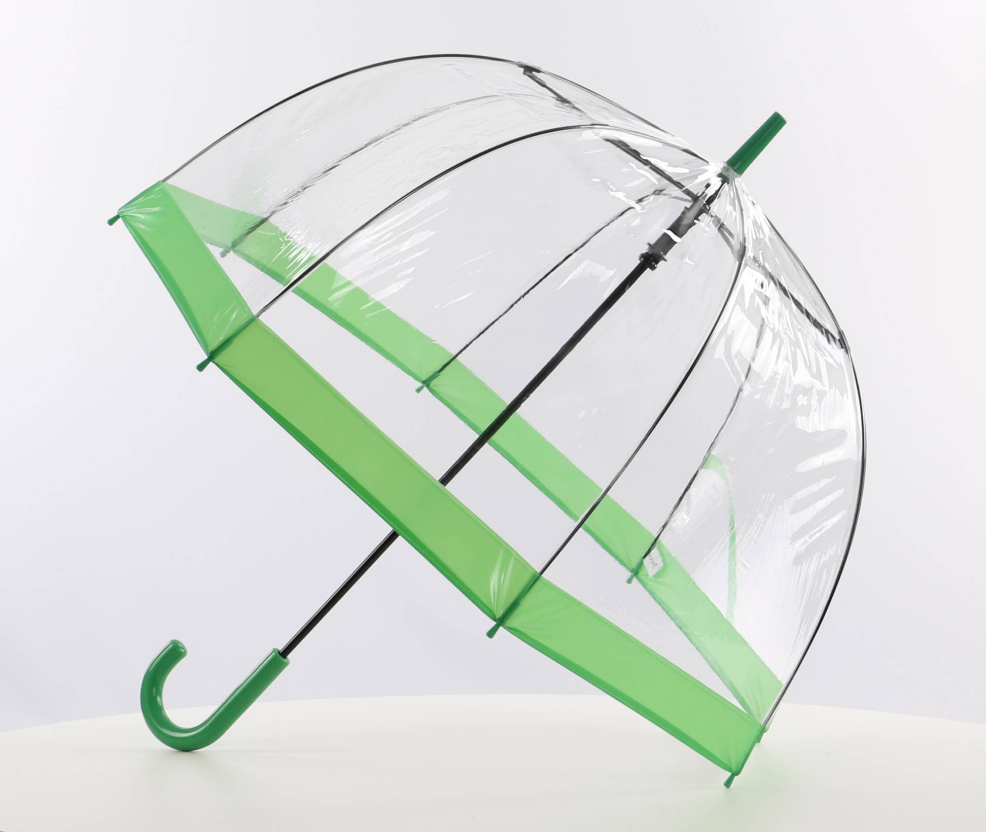 Everyday Clear Dome Vinyl Umbrella Green - EDBCG for wholesale on Faire0