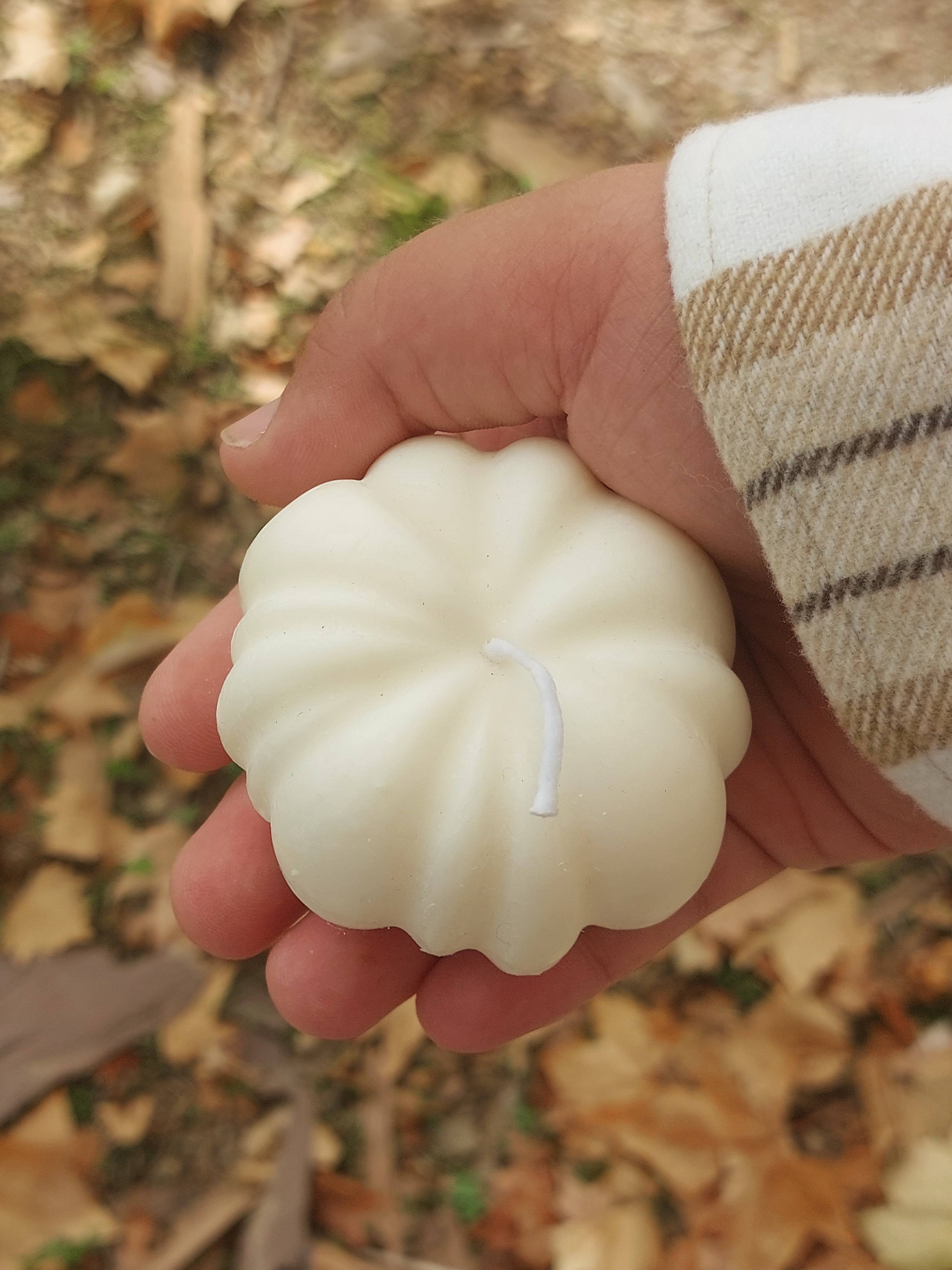 Your Nice Things - Candles - - Wholesale Novelty Candle - Decorative candle made of soy wax, cedar pumpkin and sandalwood3