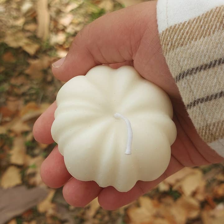Your Nice Things - Candles - – wholesale Novelty candle – Decorative candle made of soy wax, cedar pumpkin and sandalwood3