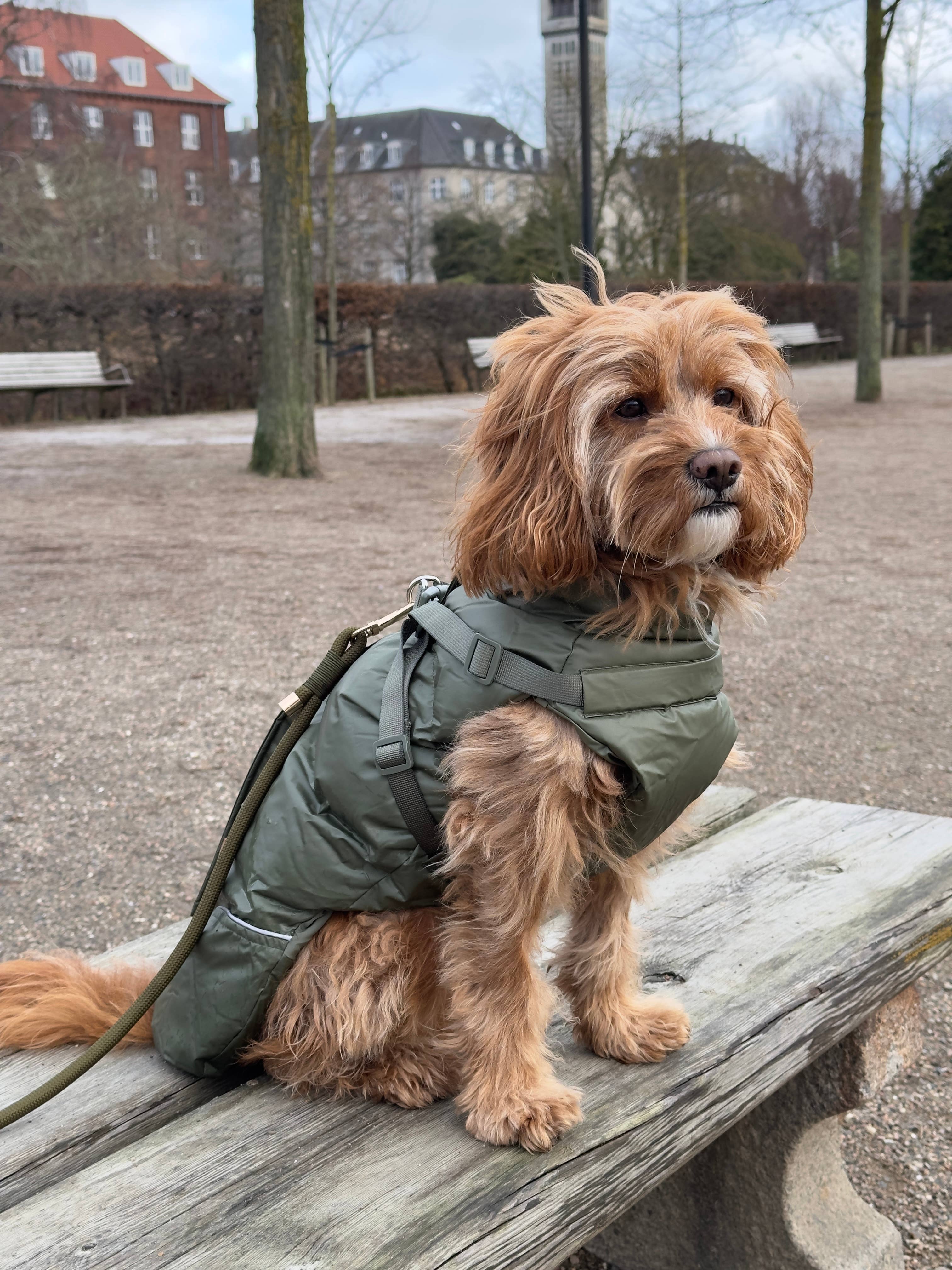 Puppy Bohème - Vendita all'ingrosso Cappotto - Cani - Cappotto invernale con imbracatura integrata - Verde foresta (senza maniche)3