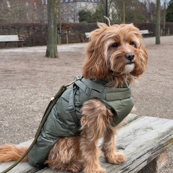Puppy Bohème - Vendita all'ingrosso Cappotto - Cani - Cappotto invernale con imbracatura integrata - Verde foresta (senza maniche)3