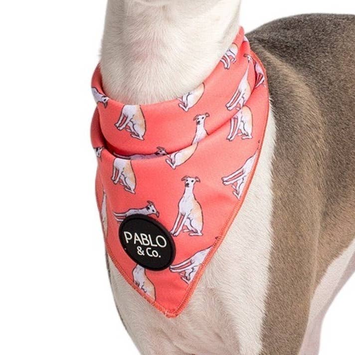 Italian Greyhound - Dog Bandana for wholesale by Pablo & Co. Boutique