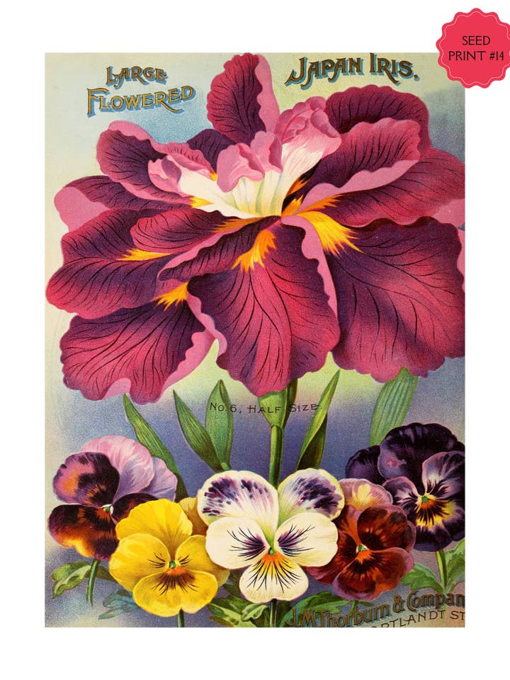 VINTAGE FRØPAKKE KUNSTTRYK #14 for engroshandel hos Crow's Tourmaline