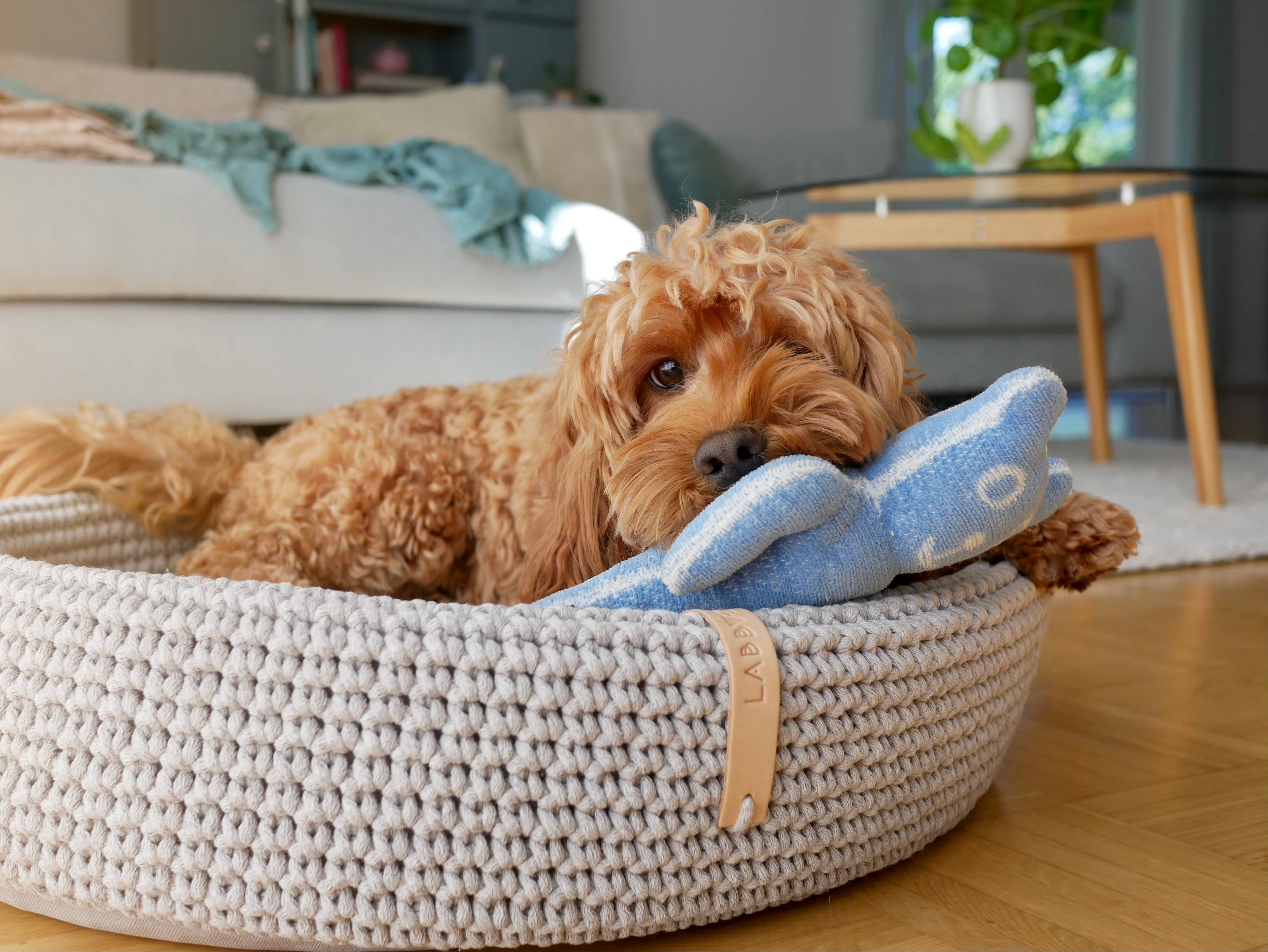 Labbvenn - Vente Panier – chien - Panier pour chien Lukko de forme ovale unique, entièrement fait à la main13