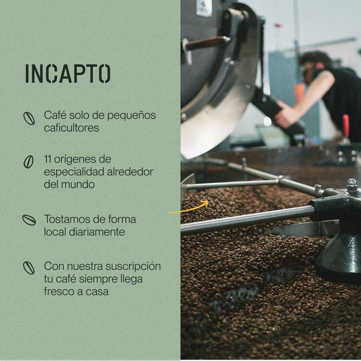 INCAPTO COFFEE - Vendita all'ingrosso Caffè macinato - Chicco di caffè speciale JUNGLE BLEND 100% Arabica