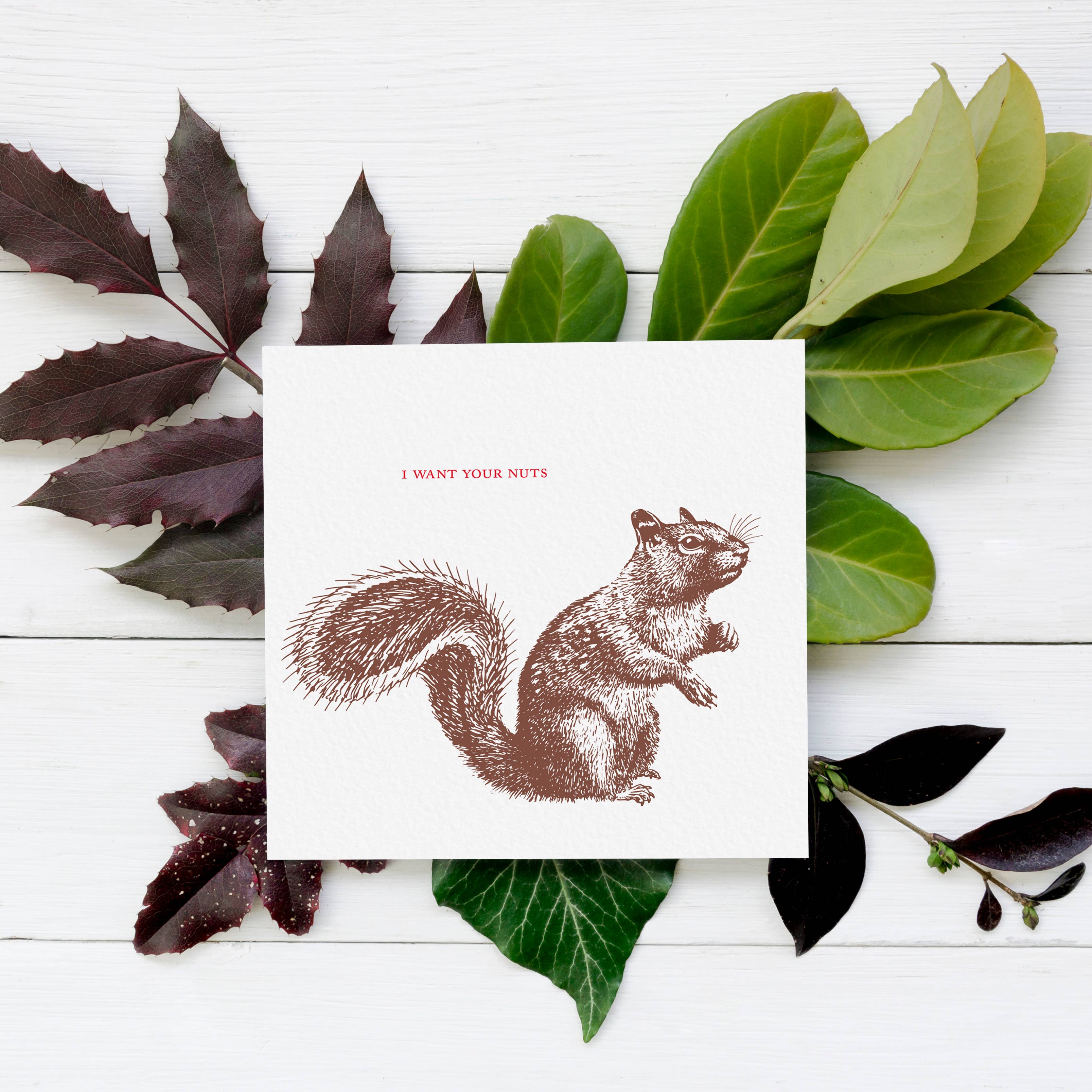 Ampersand M Studio – wholesale Love card – I Want Your Nuts Squirrel Sexy Valentine's Day Greeting Card3