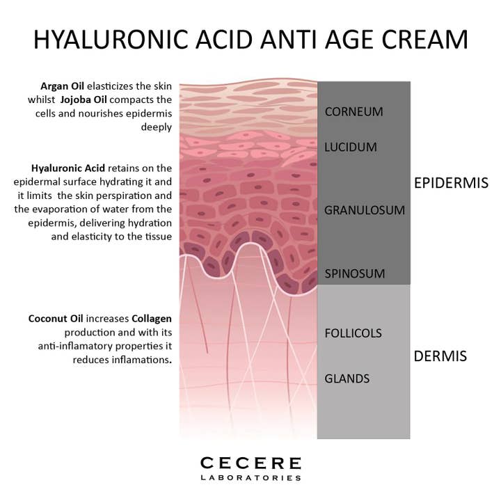 Cecere Monaco (Cecere Laboratories - Cecere Group)) - Wholesale Anti-aging moisturizer - Hyaluronzuurcrème met arganolie Jojoba-olie Kokosolie6