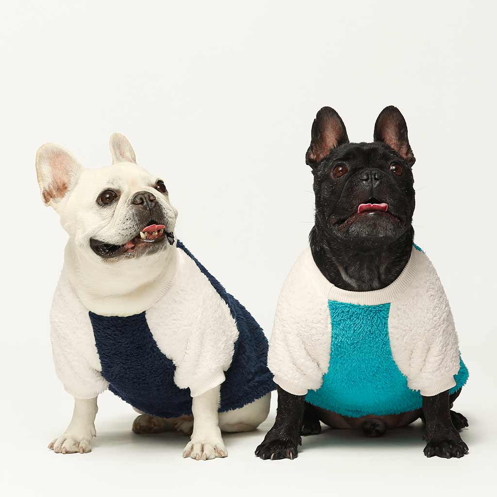 Fitwarm – wholesale Tröja - Hund – 2-pack fleecetröja19