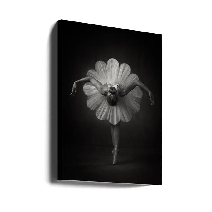 Wall art Floral Ballet for wholesale by GTA ART