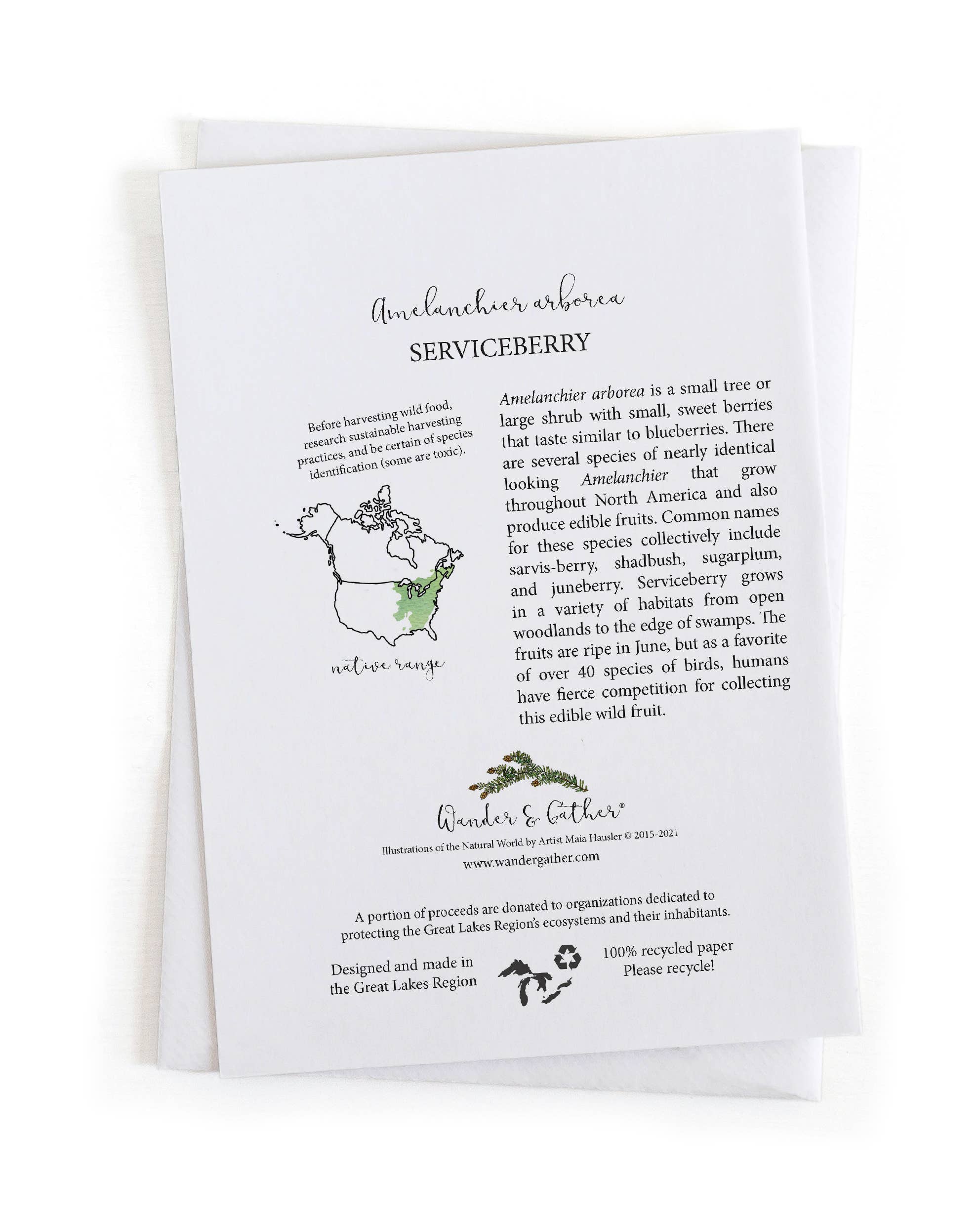 Wander & Gather - Wholesale Everyday Greeting Card - Serviceberry Juneberry Wild Foraging Botanical 5x7 Card1
