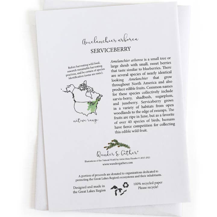 Wander & Gather - Wholesale Everyday Greeting Card - Serviceberry Juneberry Wild Foraging Botanical 5x7 Card1