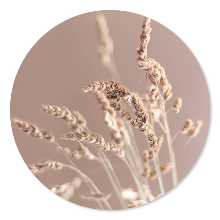 Círculo de Parede Grão Rosa por atacado de GM decoratie