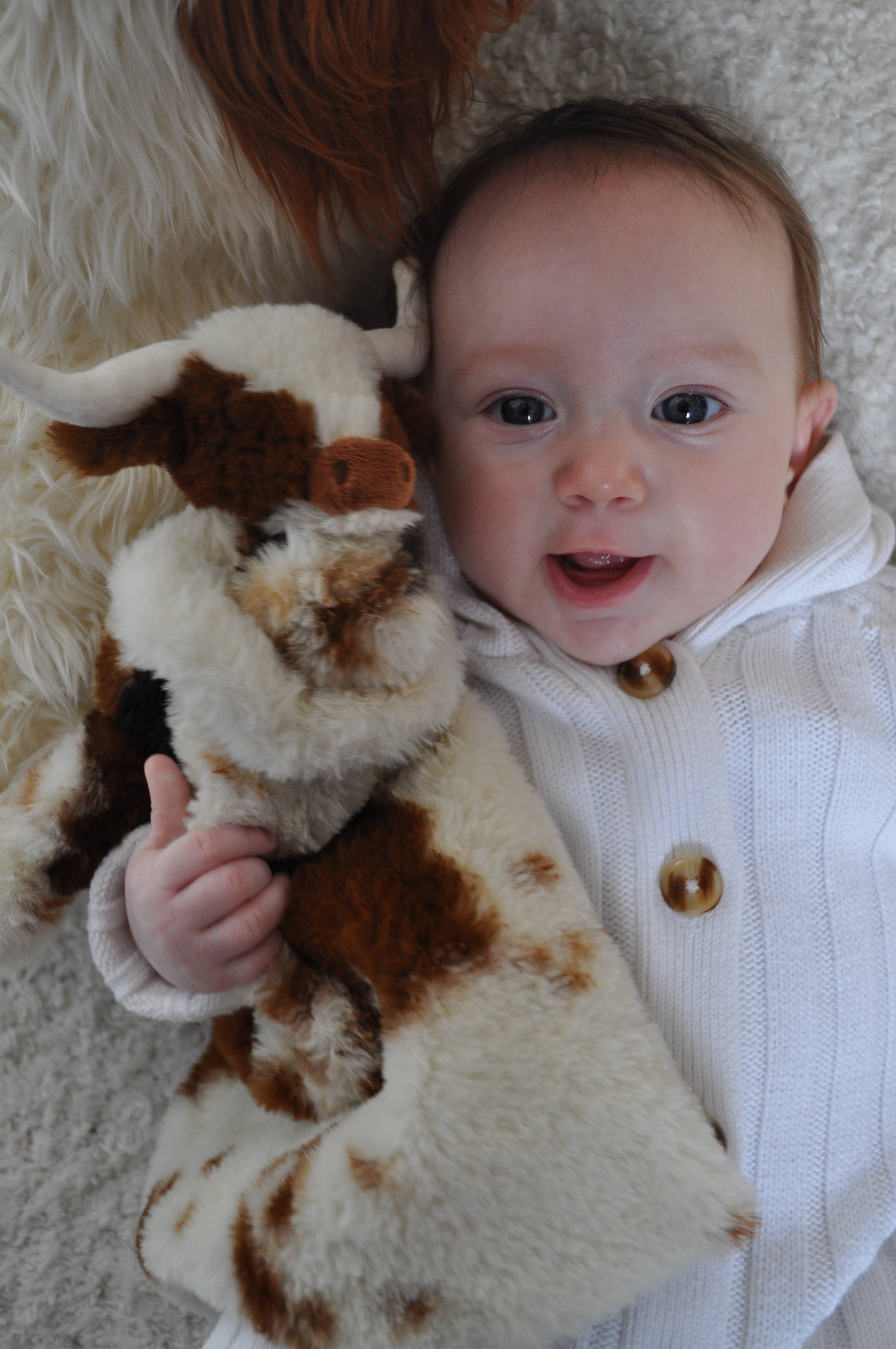 Jomanda Soft Toys & Accessories - Vente Couverture douillette – bébé - Jouet Apaisant en Peluche Vache Highland Bébé Texas Longhorn8