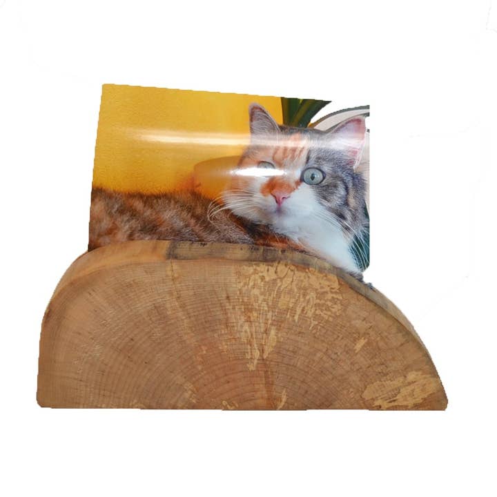 Portafoto portafoto 22x9 cm in acero lavorato a mano per la vendita all'ingrosso da parte di Huizbirn