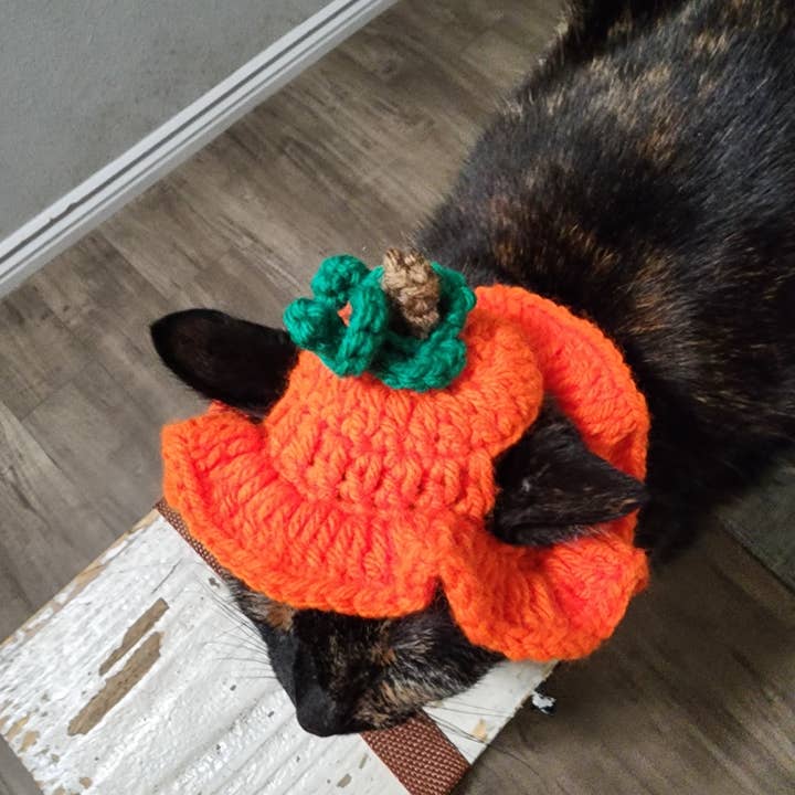 A Creative Wonderland - Wholesale Pet Costume - Cat/Dog - Pumpkin Hat for Cats or Small Dogs