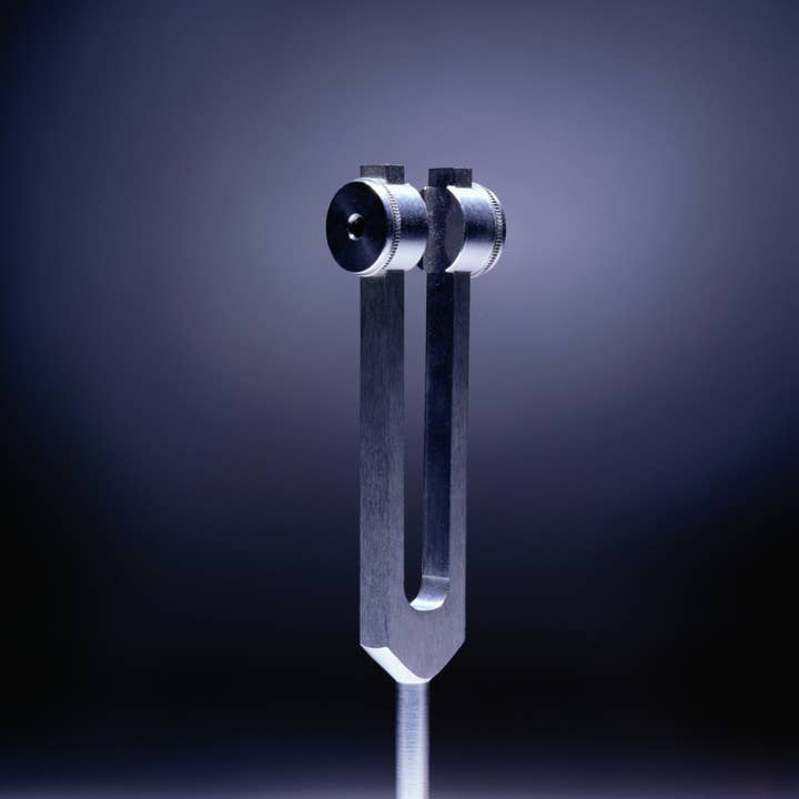 Vairagya Yogashala - Vendita all'ingrosso Attrezzatura per meditazione - Diapason Solfeggio - Set di 9 (Con pesi)1