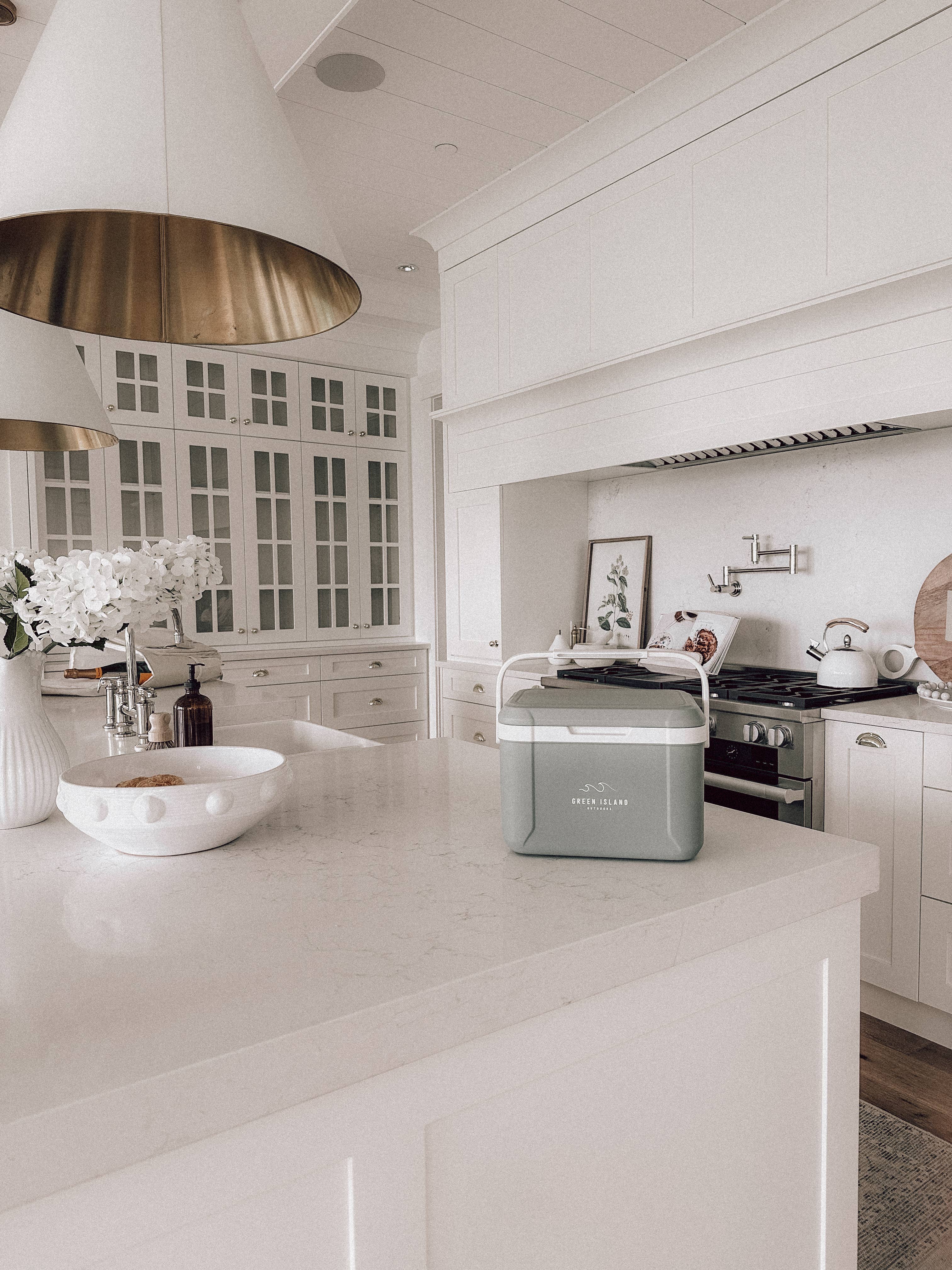 Sauge Mini glacière dure Sage en vente sur Faire4