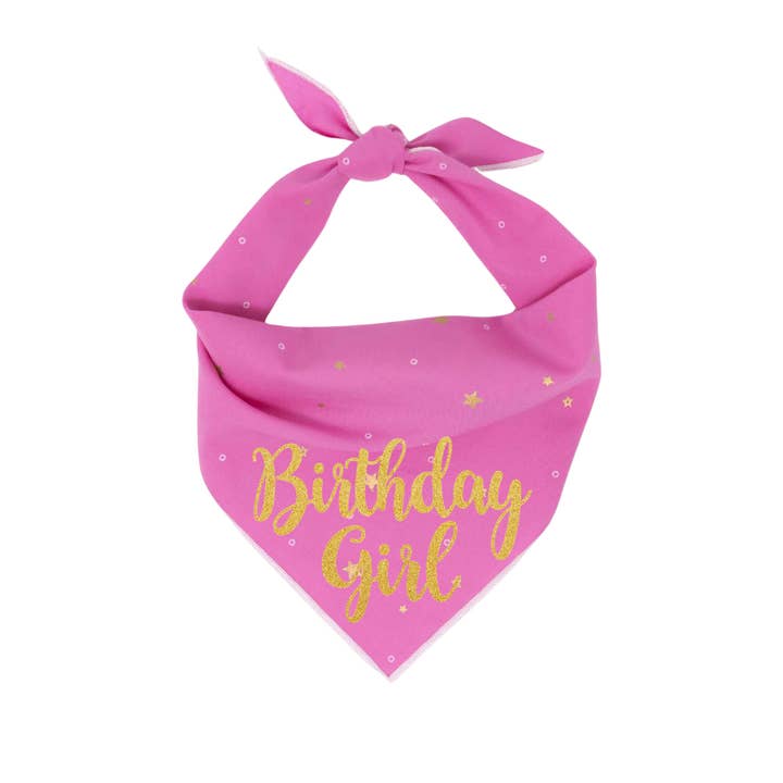 Bandana d'anniversaire pour chien | Fille d'anniversaire | Bandana pour animaux de compagnie | Fête pour la vente par Paisley Paw Designs