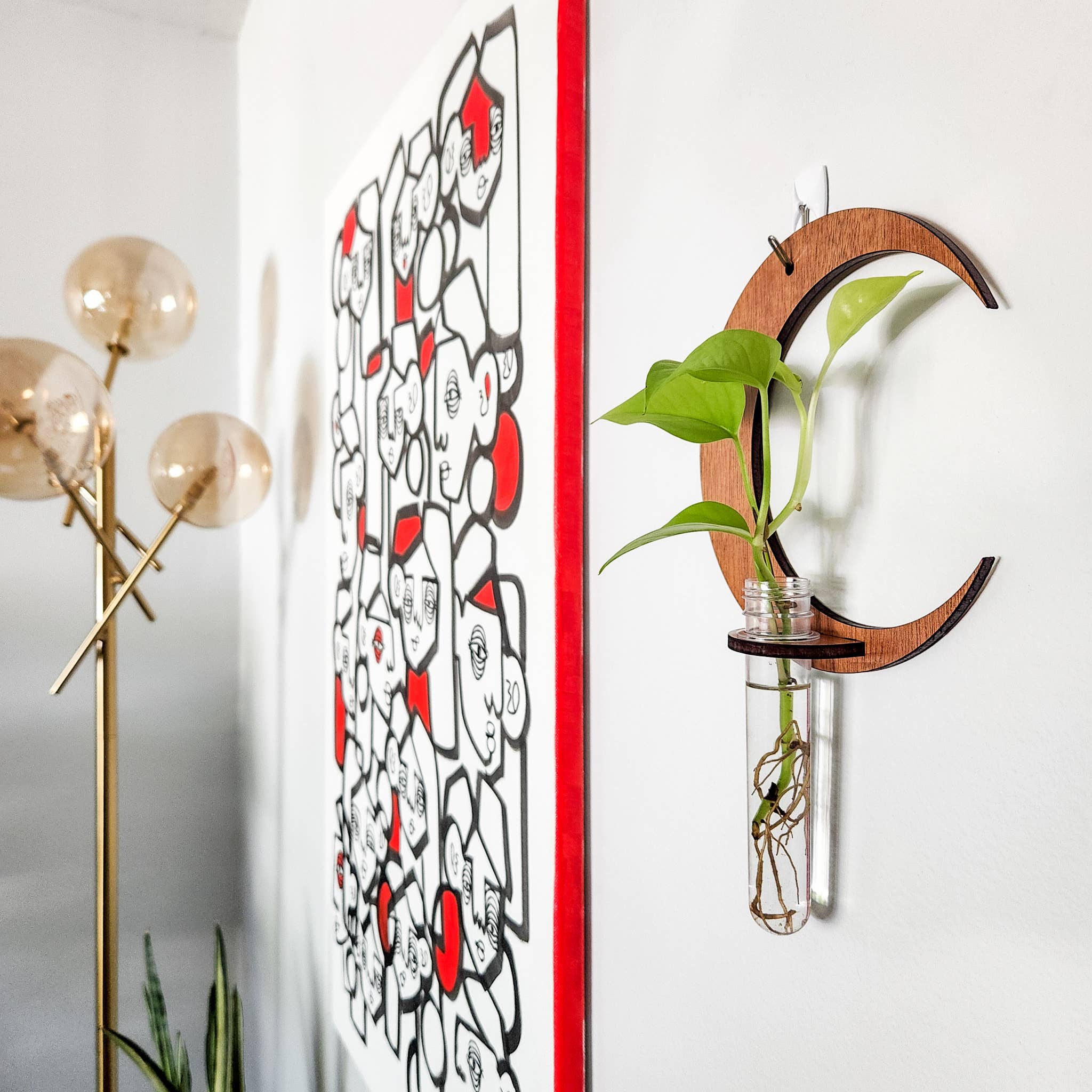 Leaf & Node - Wholesale Hanging Planter - Wall Hanging Propagation Station - Moon Test Tube Holder3