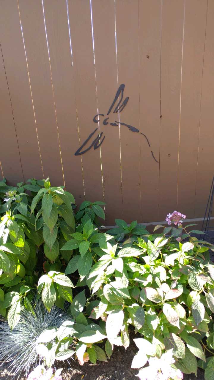 West Coast Fence Art - Wholesale Outdoor ornament/decor - Dragon Fly2
