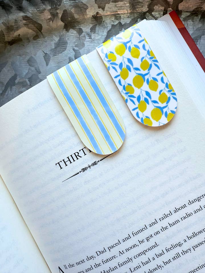 2 pack magnetic bookmark|lemon and stripes magnetic bookmark for wholesale by Typo Lettering Co