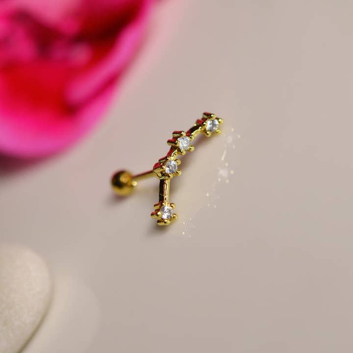 StockJWL - Wholesale Stud/Post Earrings - 12 Zodiac Earrings, Constellation Stud Earring Stud Piercing Tragus Helix Lobe and Cartilage Silver And Gold62