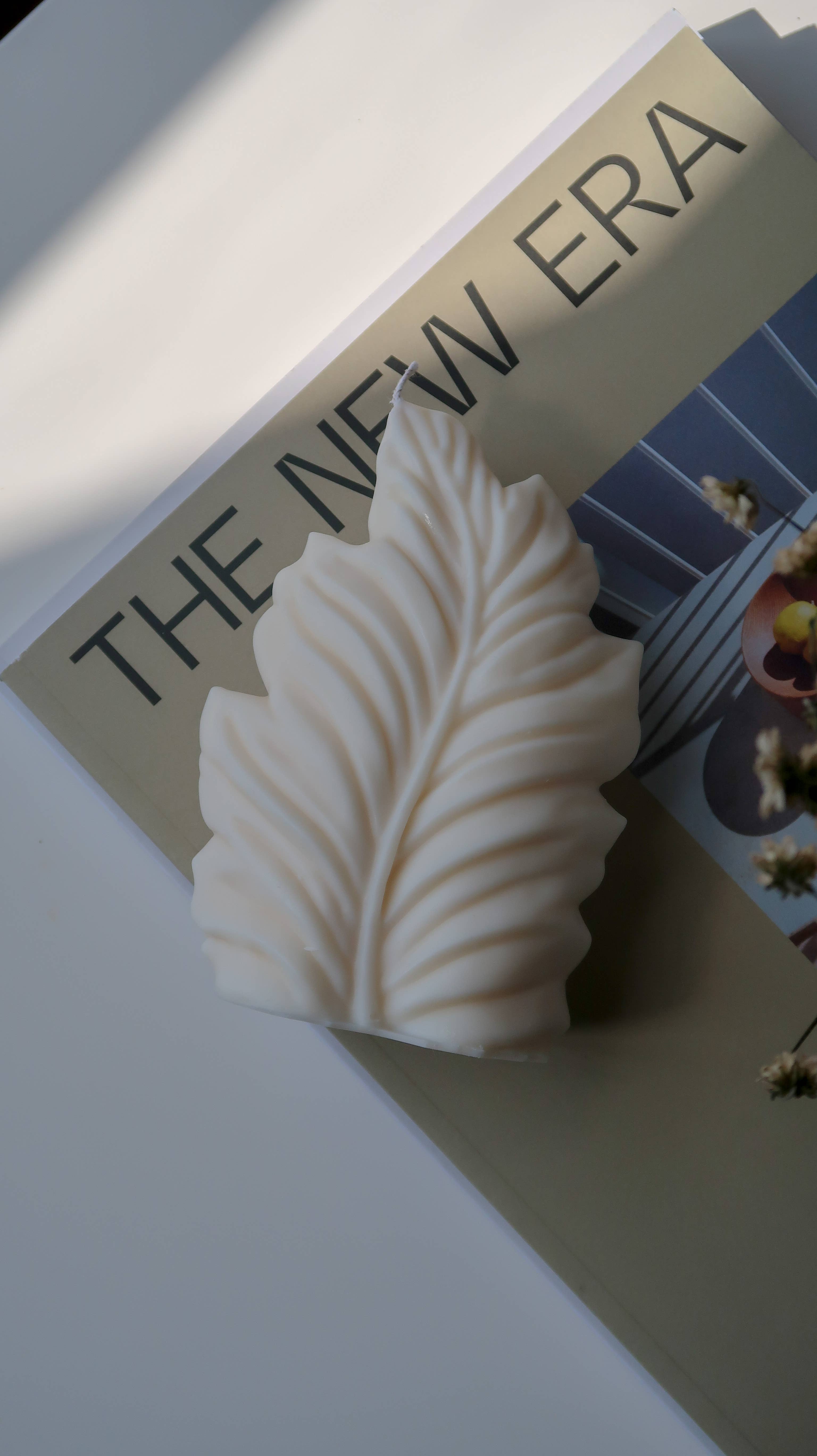 Jeune Home - Vente Bougies originales - Bougie en feuille de palmier | Décoration d'intérieur Boho | bougie en feuille4