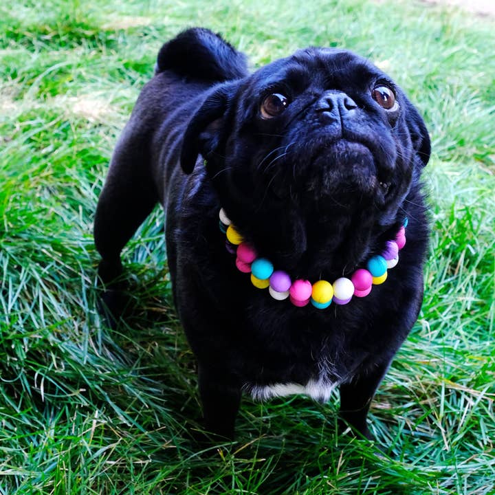 Mimi Green – Großhandel Haustierhalsband – Katze/Hund – Freundschaftsarmband Hundehalsband | Perlenbesetztes Hundehalsband4