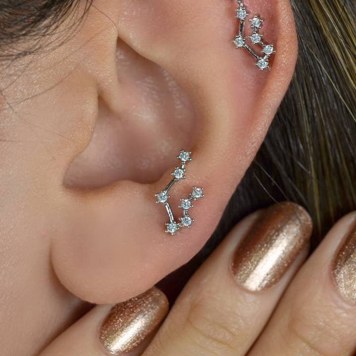 StockJWL - Wholesale Stud/Post Earrings - 12 Zodiac Earrings, Constellation Stud Earring Stud Piercing Tragus Helix Lobe and Cartilage Silver And Gold20