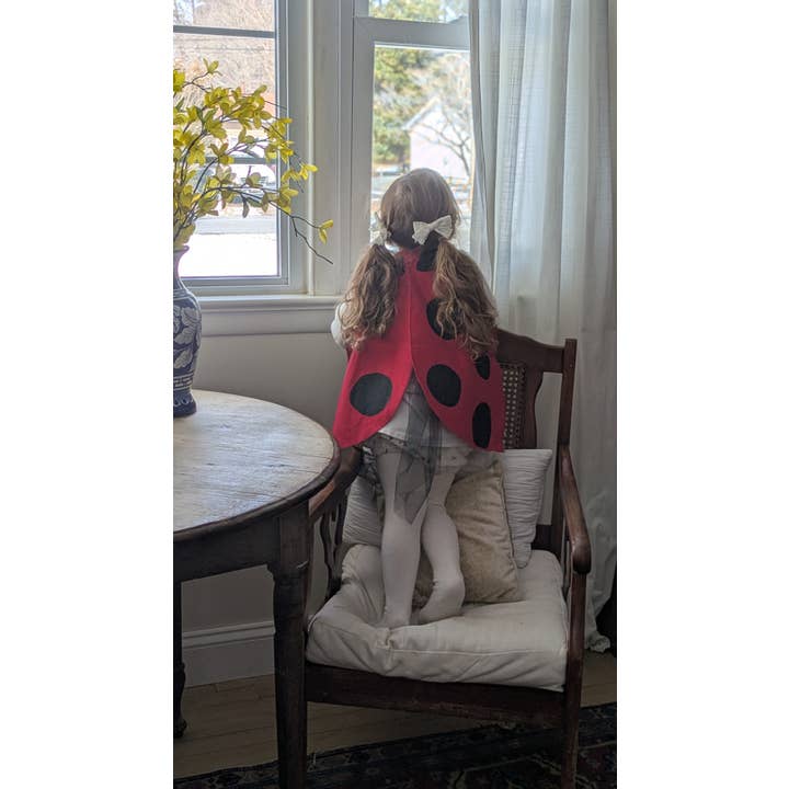 Jack Be Nimble – wholesale Costume – Child – Ladybug Costume Wings6