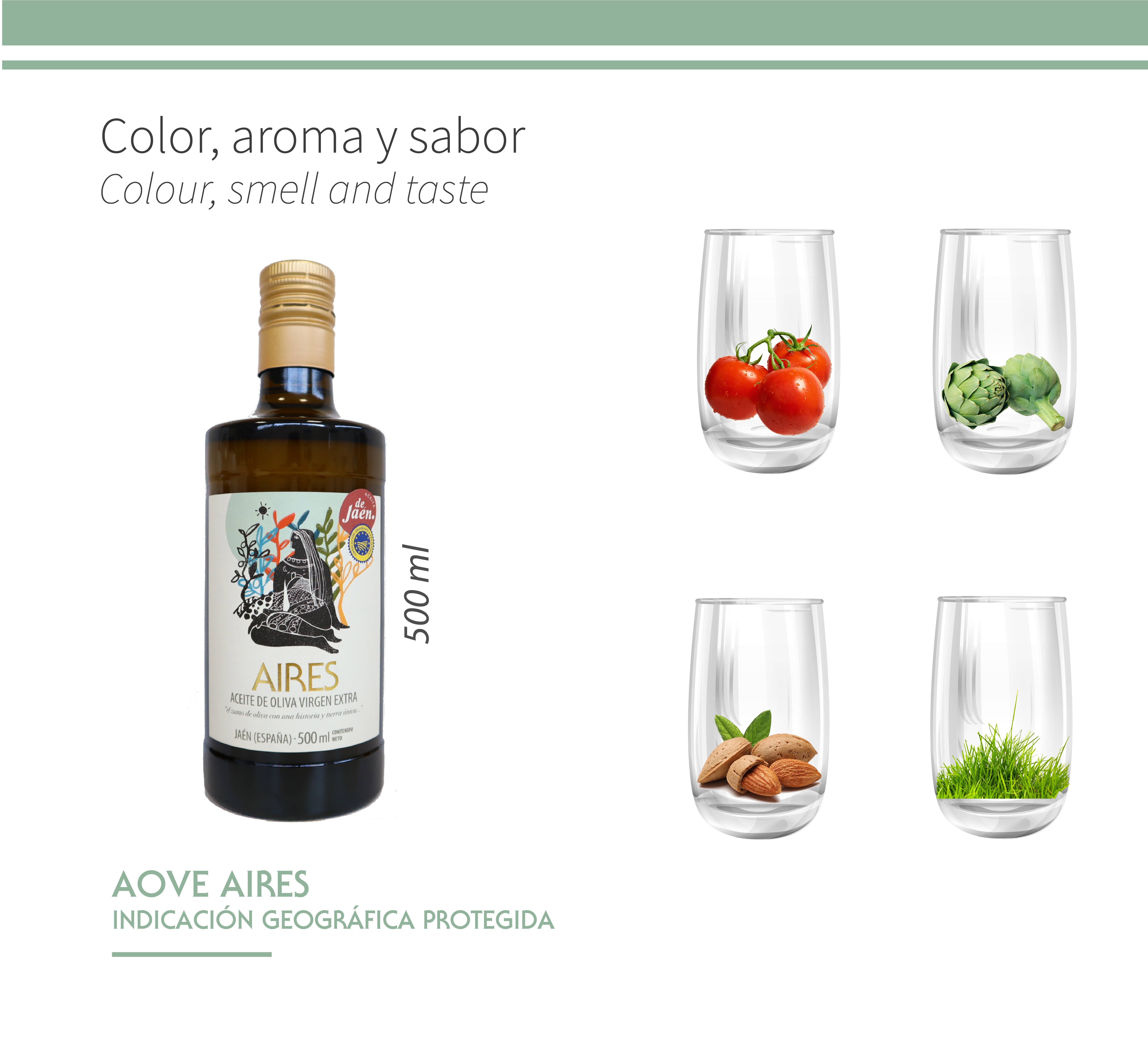 AIRES DE JAEN - Venta al por mayor Aceite de oliva - PACK 6x500ml AOVE Aires con Indicación Geográfica Protediga1