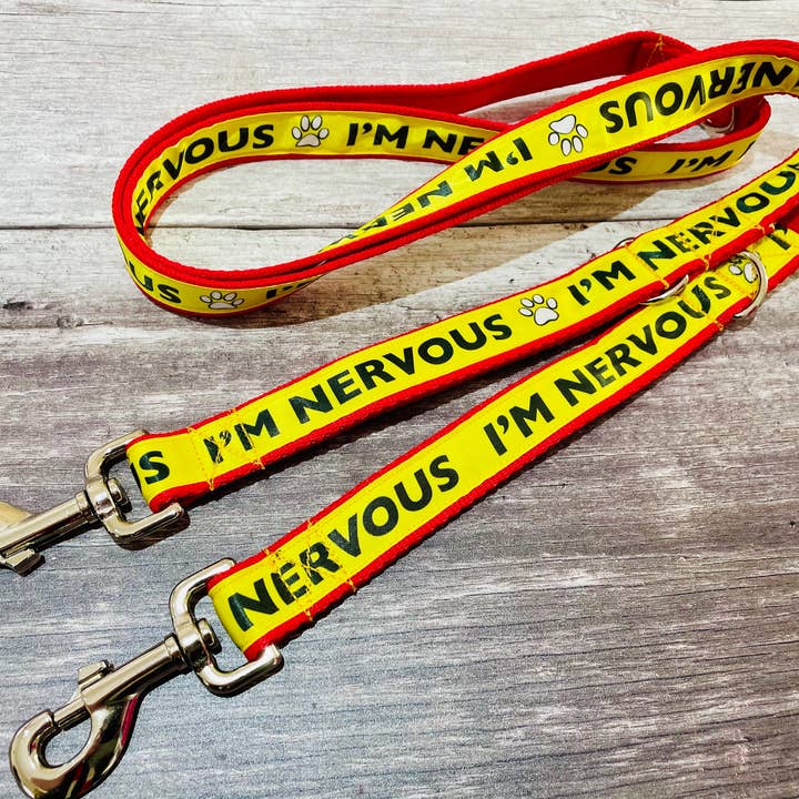 Nervous guinzaglio giallo su rosso - KEEP AWAY Reactive per la vendita all'ingrosso da parte di Dottie's Pet Boutique
