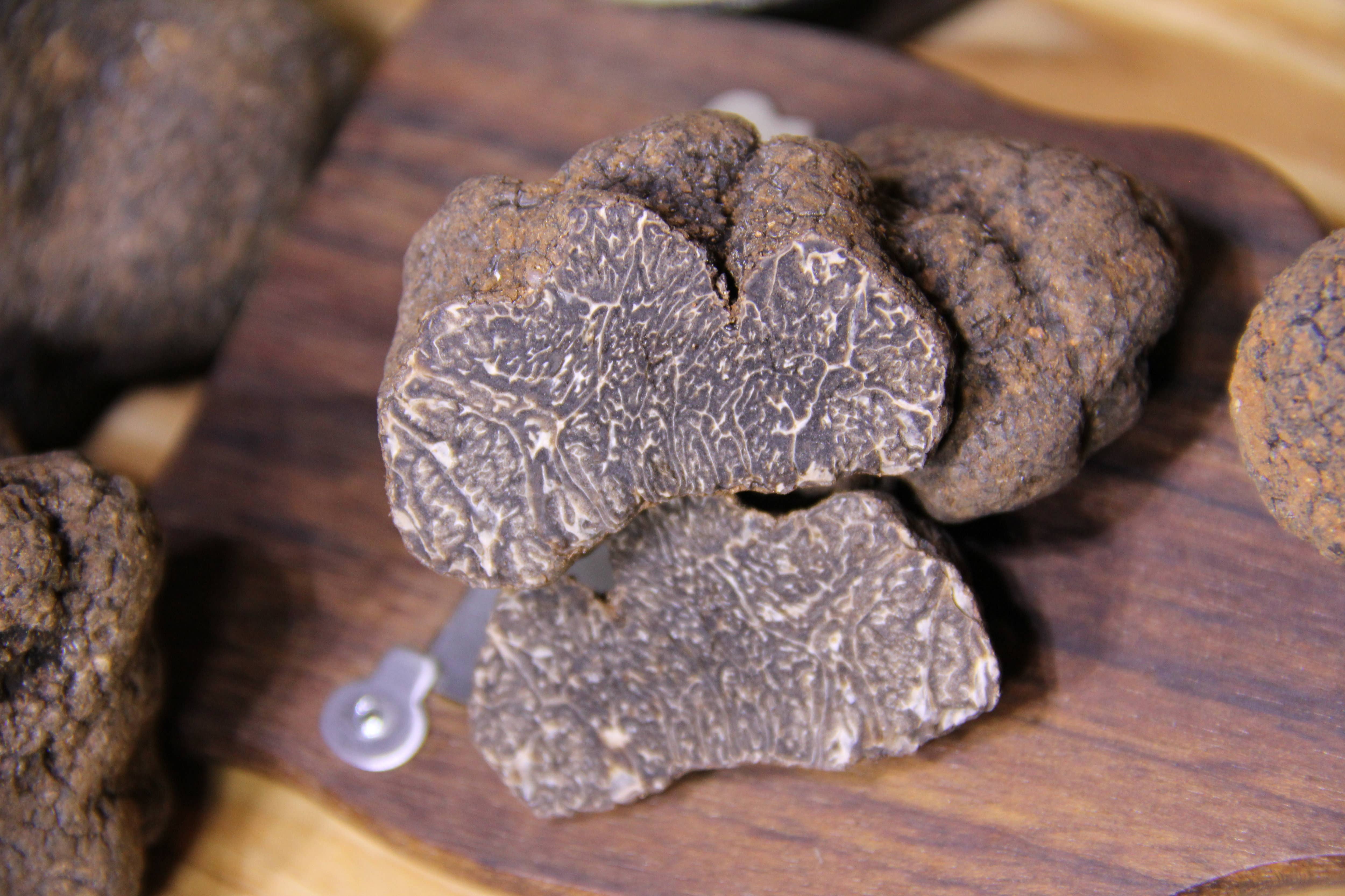 VALTREBBIA TARTUFI - Vendita all'ingrosso Condimenti per insalata - TUBER MELANOSPORUM VITT -Nero Pregiato- PREZZO SU RICHIESTA3