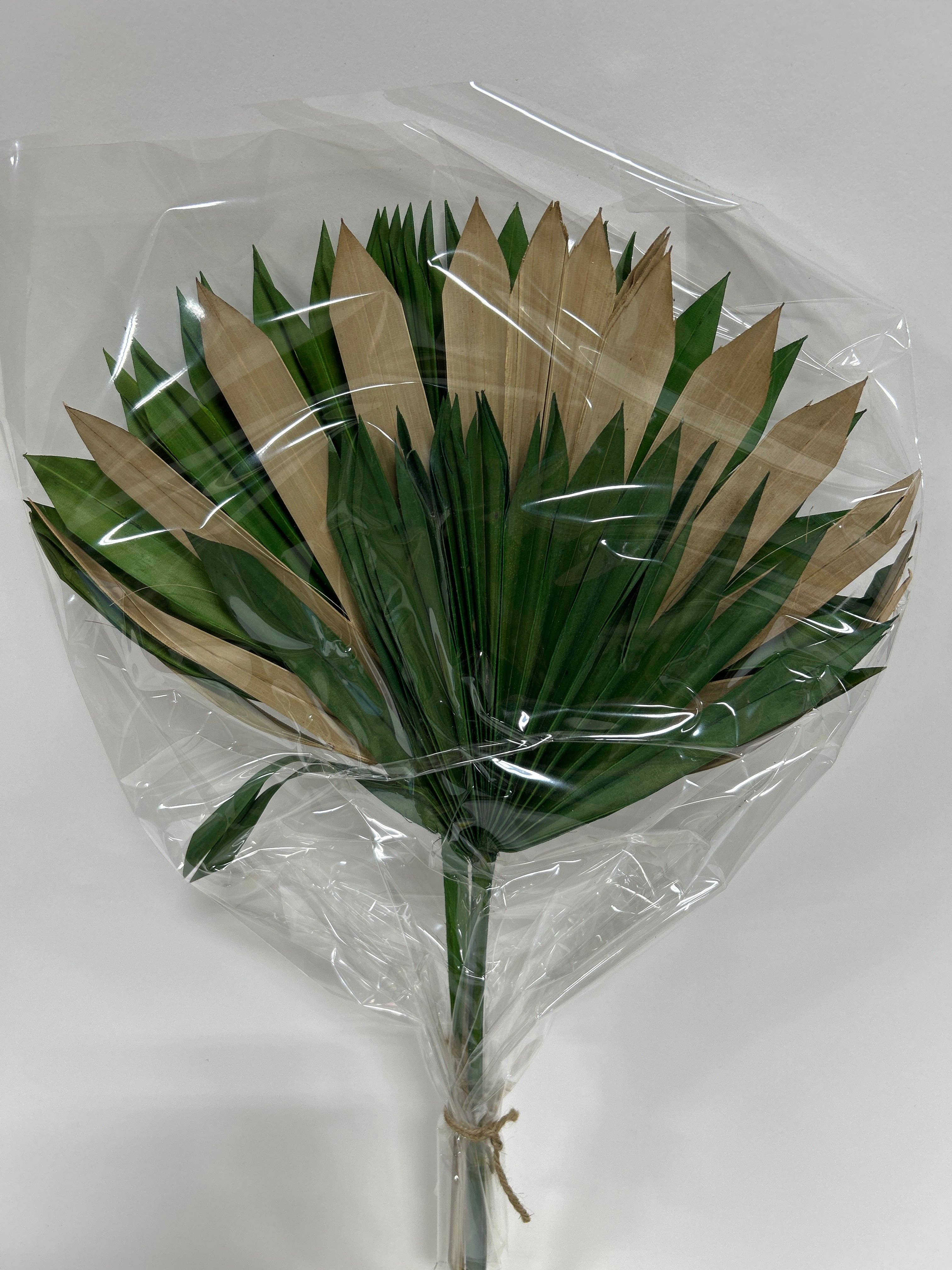 GS Foliage - Wholesale Dried/Pressed Flowers - Dried Sun Palm - 3pc Bunch 1