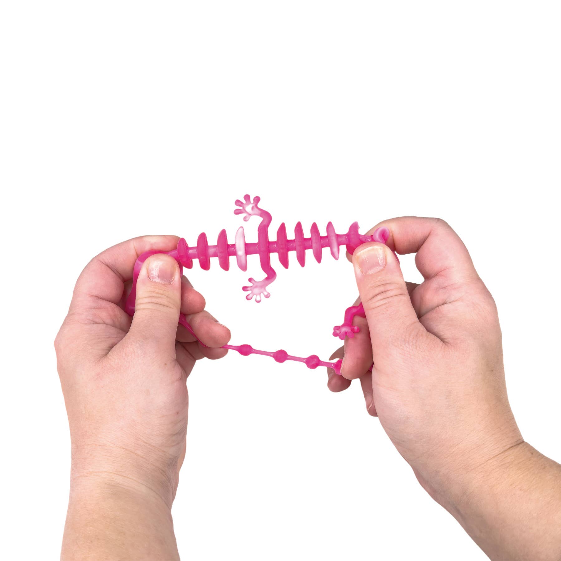 Geddes - Wholesale Fidget Toy - Kids - PREHISTORIC BRACELET  24/BAG3