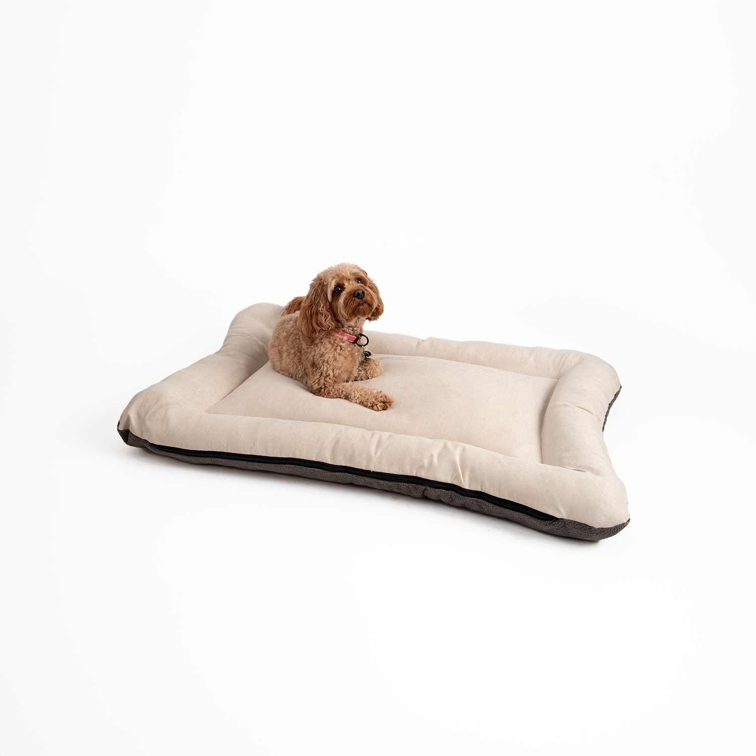 Snoozer Pet Products - Vendita all'ingrosso Letto - Cani - Cuccia per Cani All Day di Snoozer21