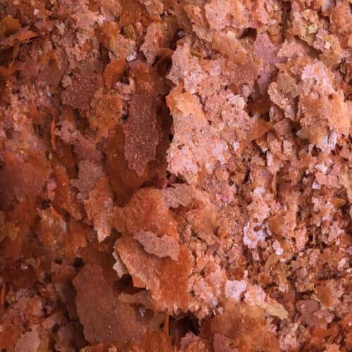 Croci - Wholesale Pet Food - Dog - Fish food - Pro Color Flake Feed - Amtra1