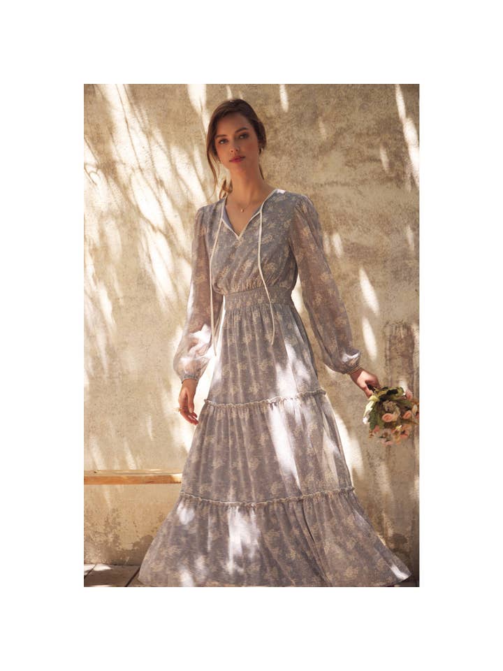 in february - Wholesale Dress - Women's - DELICATE ROMANTIC SHEER FLORAL MAXI DRESS6