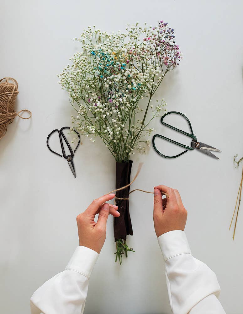 Abbott - Wholesale Garden Tool - Flower Stem Shears - 3 Asst Colors4