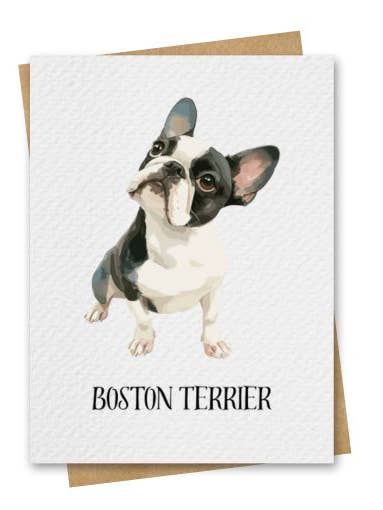 Watercolour Boston Terrier Dog Card Includes Kraft Envelope for wholesale by Paper Kuts