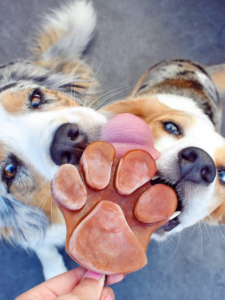 Stampo per gelato per cani in silicone 100% senza BPA per la vendita all'ingrosso da parte di SmoothieDog