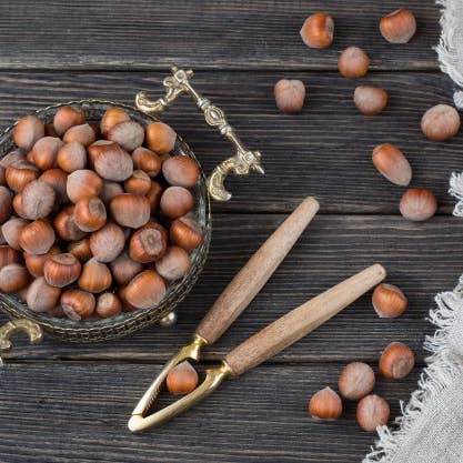 HECOSFAIR - Wholesale Nuts - Organic hazelnuts in shell from Corsica - direct producer