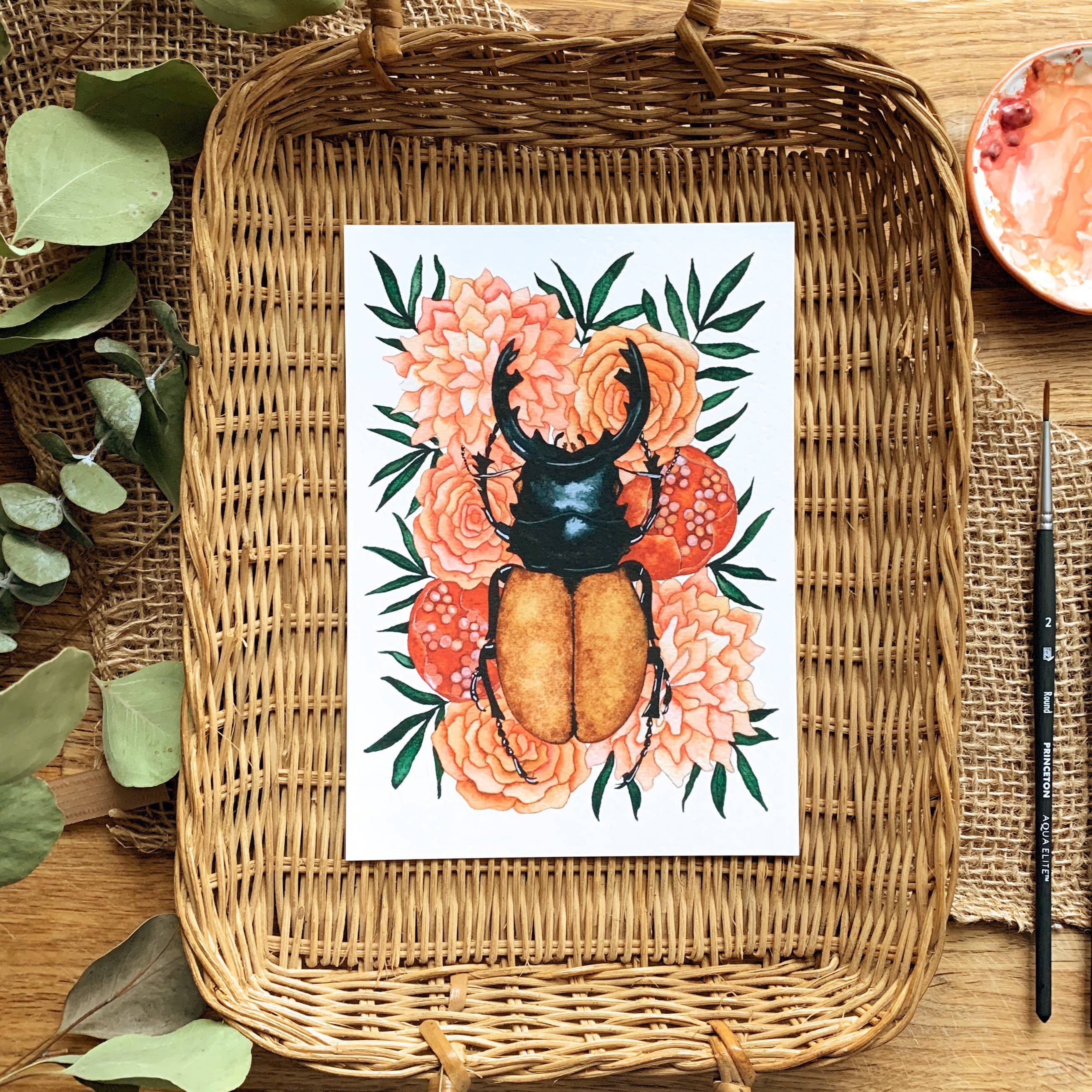 Candace Fincher - Wholesale Art print - Insect Art Print Of Stag Beetle, Insect Taxidermy, Entomology, Beetle Boho Wall Decor6